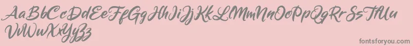 Mickey Steward Font – Gray Fonts on Pink Background