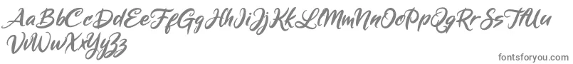 Mickey Steward Font – Gray Fonts