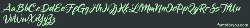 Mickey Steward Font – Green Fonts on Black Background