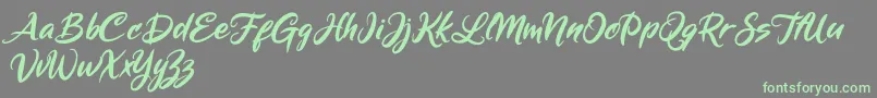 Mickey Steward Font – Green Fonts on Gray Background