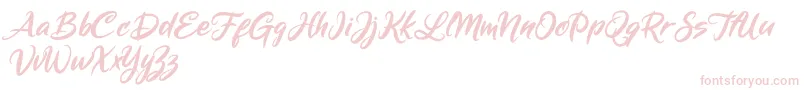 Mickey Steward Font – Pink Fonts