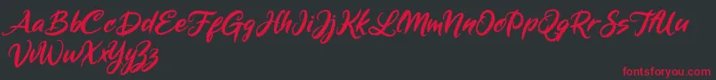 Mickey Steward Font – Red Fonts on Black Background