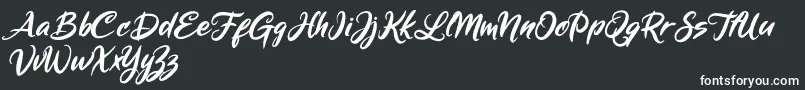 Mickey Steward Font – White Fonts on Black Background
