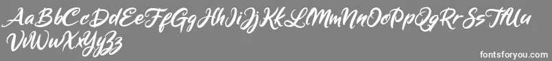 Weitere Informationen zur Mickey Steward-Schriftart Mickey Steward-Schriftart – Weiße Schriften auf grauem Hintergrund