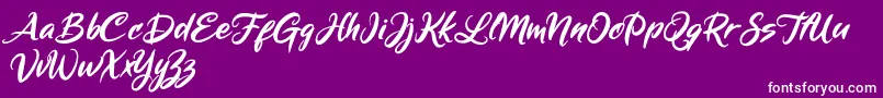 Mickey Steward Font – White Fonts on Purple Background