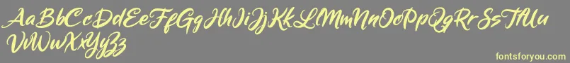 Mickey Steward Font – Yellow Fonts on Gray Background