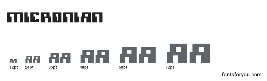 Micronian (134301) Font Sizes