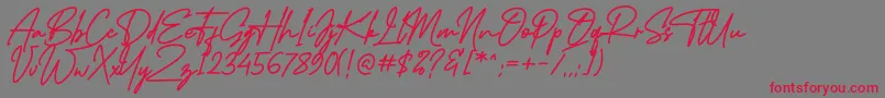 MidlestoneSignature-Schriftart – Rote Schriften auf grauem Hintergrund
