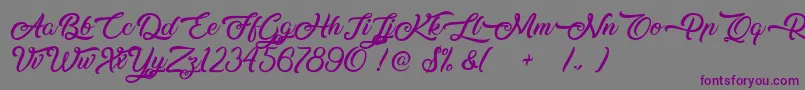 Шрифт Midnight Bangkok – фиолетовые шрифты на сером фоне