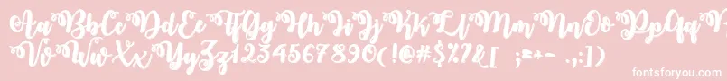 Midnight in October  -Schriftart – Weiße Schriften auf rosa Hintergrund