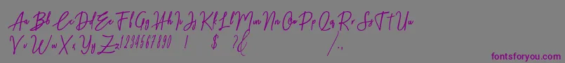 Midnight One Font – Purple Fonts on Gray Background