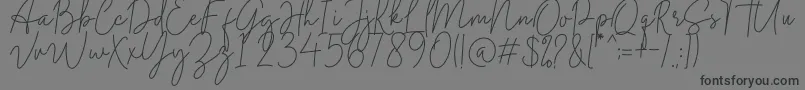 Midnight Signature-Schriftart – Schwarze Schriften auf grauem Hintergrund