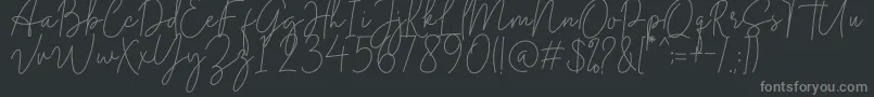 Midnight Signature Font – Gray Fonts on Black Background