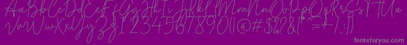 Midnight Signature Font – Gray Fonts on Purple Background