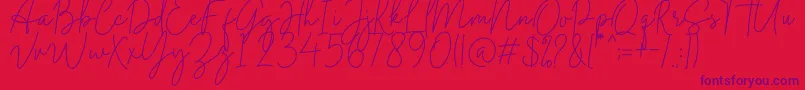 Midnight Signature Font – Purple Fonts on Red Background