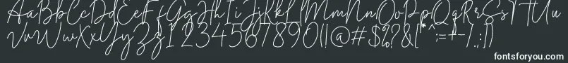 Шрифт Midnight Signature – белые шрифты