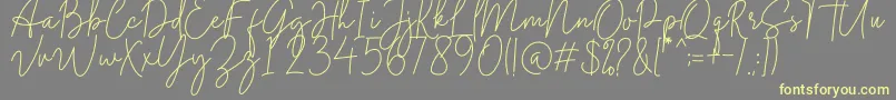 Midnight Signature Font – Yellow Fonts on Gray Background