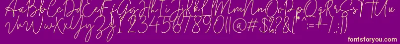 Midnight Signature Font – Yellow Fonts on Purple Background