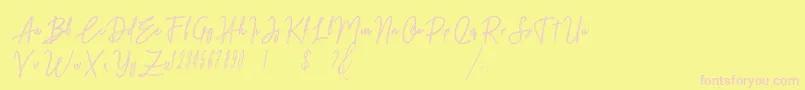 Midnight Font – Pink Fonts on Yellow Background