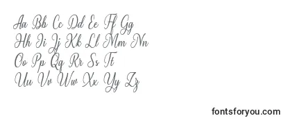 フォントMilgun Font by 7NTypes
