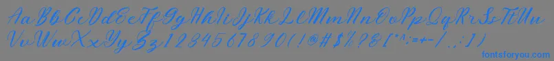 フォントmiliesScript – 灰色の背景に青い文字