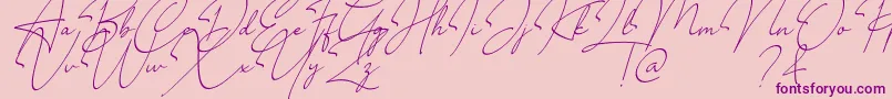 Millano Font – Purple Fonts on Pink Background