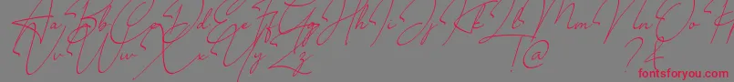 Millano Font – Red Fonts on Gray Background