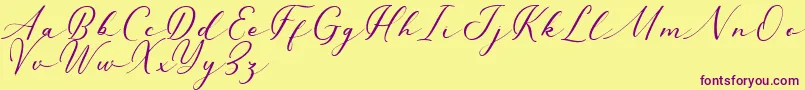 Millerstone DEMO Font – Purple Fonts on Yellow Background