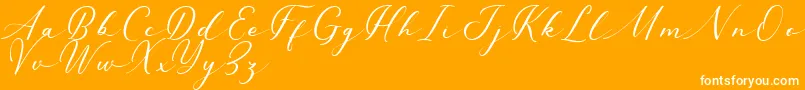 Millerstone DEMO Font – White Fonts on Orange Background
