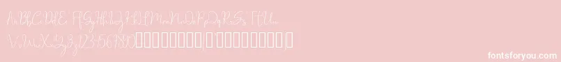millow Font – White Fonts on Pink Background