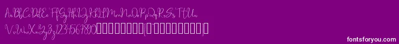 millow-Schriftart – Weiße Schriften auf violettem Hintergrund