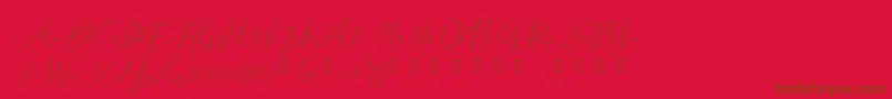 En savoir plus sur la police Milova Demo Police Milova Demo – polices brunes sur fond rouge