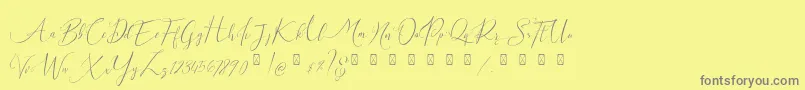 fuente Milova Demo – Fuentes Grises Sobre Fondo Amarillo
