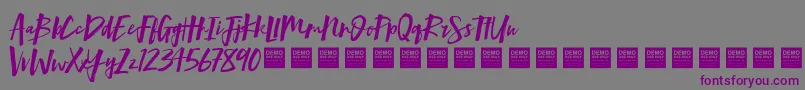 Mind Rush   Demo Font – Purple Fonts on Gray Background