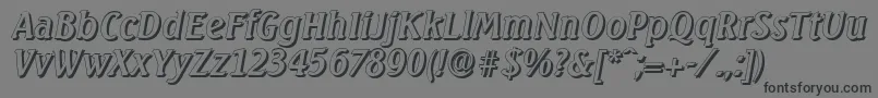 SeagullshadowItalic Font – Black Fonts on Gray Background