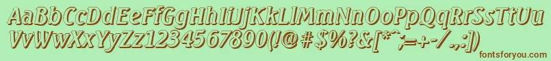 SeagullshadowItalic Font – Brown Fonts on Green Background