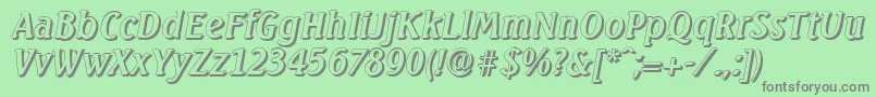 SeagullshadowItalic Font – Gray Fonts on Green Background