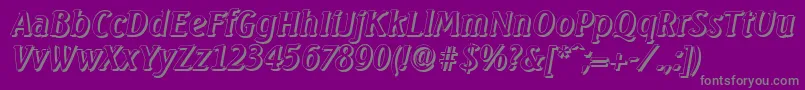 fuente SeagullshadowItalic – Fuentes Grises Sobre Fondo Morado