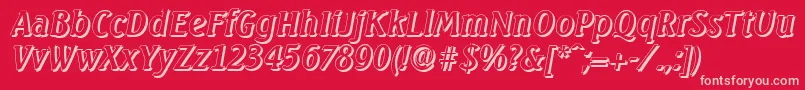 SeagullshadowItalic Font – Pink Fonts on Red Background