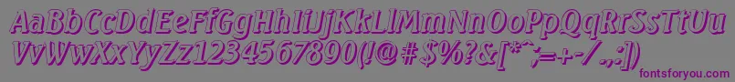 SeagullshadowItalic Font – Purple Fonts on Gray Background