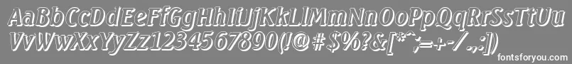 SeagullshadowItalic Font – White Fonts on Gray Background