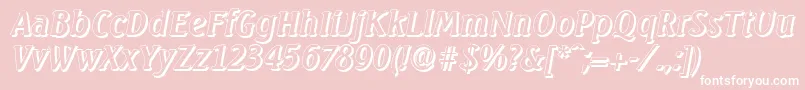 SeagullshadowItalic Font – White Fonts on Pink Background