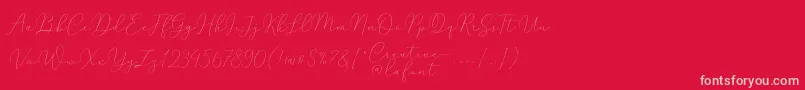 Mindline Script Demo Font – Pink Fonts on Red Background