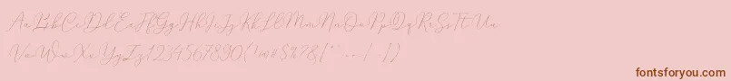 Mindline Slant Demo Font – Brown Fonts on Pink Background