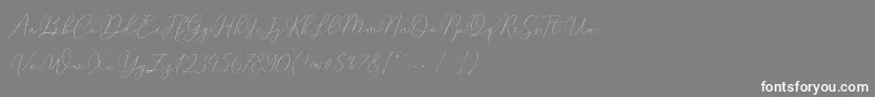 Mindline Slant Demo Font – White Fonts on Gray Background