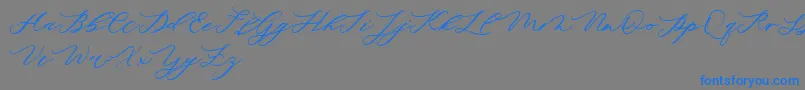 minimalist demo Font – Blue Fonts on Gray Background