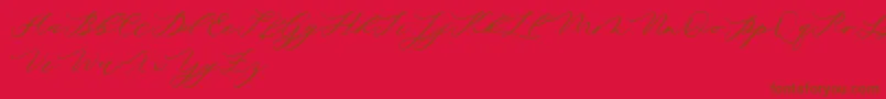 minimalist demo Font – Brown Fonts on Red Background