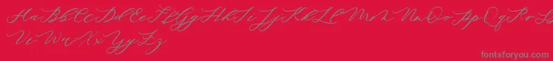 minimalist demo Font – Gray Fonts on Red Background