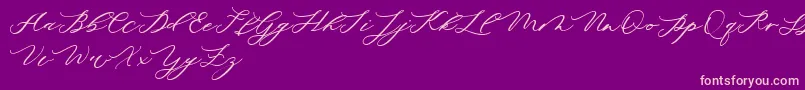 minimalist demo Font – Pink Fonts on Purple Background