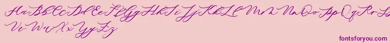 minimalist demo Font – Purple Fonts on Pink Background
